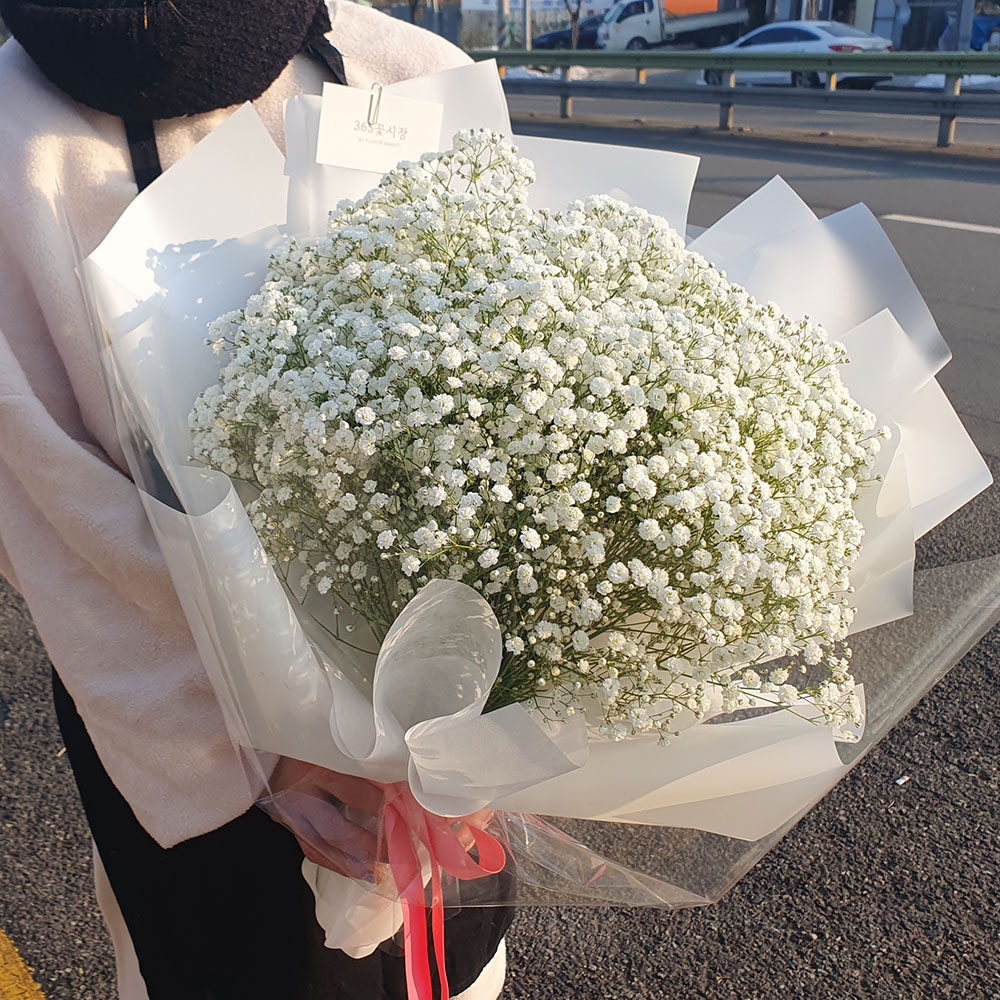 365꽃시장 안개꽃 꽃다발 생화 프로포즈 기념일 생일 100일 꽃배달