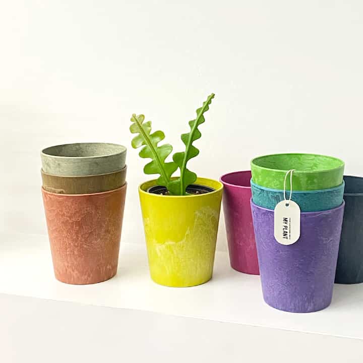 ARTSTONE グロワークレア プラスチック鉢