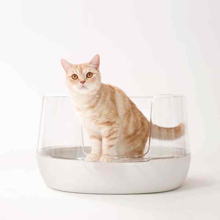 nyangssaem 透明 猫 トイレ オープンタイプ［3色］