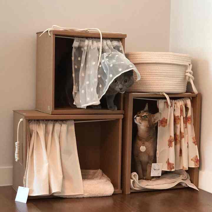 カーテンボックス