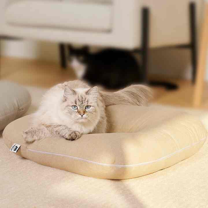 猫用お昼寝ふかふか座布団