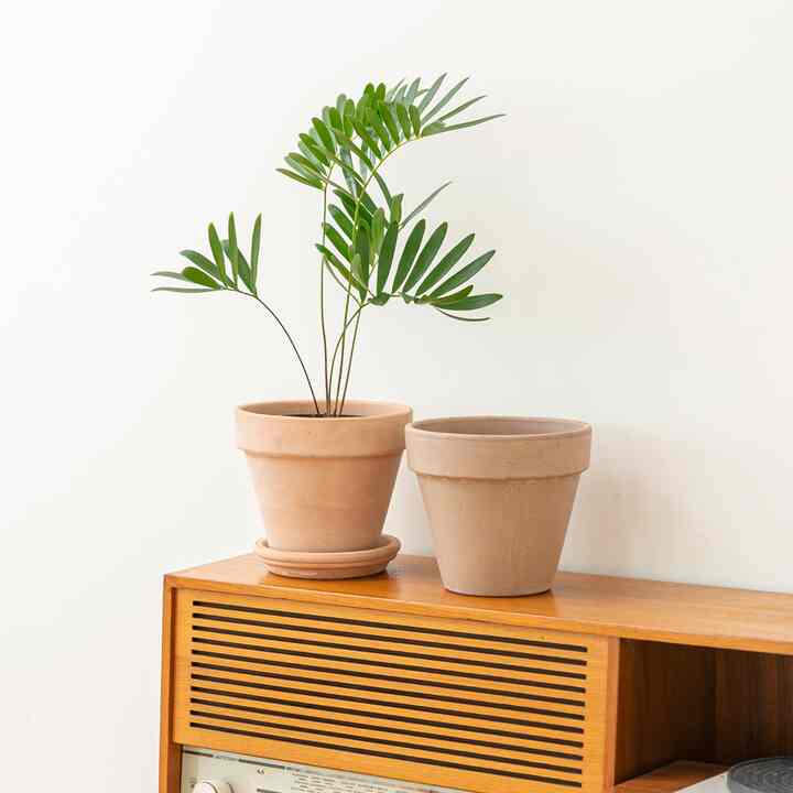 【Deroma】イタリア製 テラコッタ Vaso 植木鉢［3色・14サイズ］