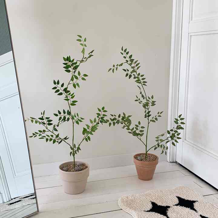 クレマチス アカシア 造花［2色］