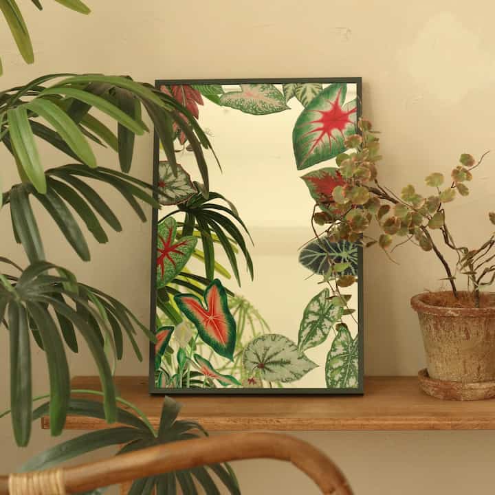 インテリア キャンバスミラー プランテリア［3色・16種］