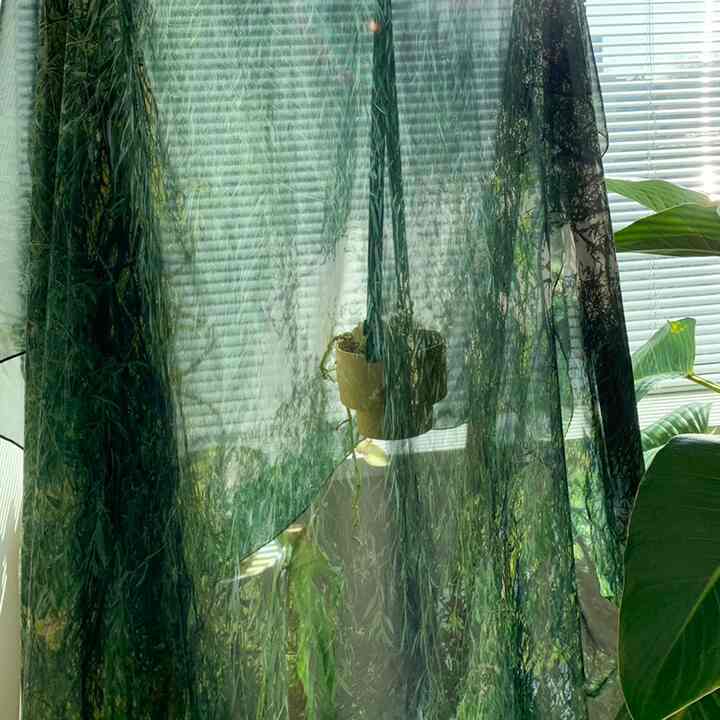 シフォンファブリックポスター Deep green［2サイズ］