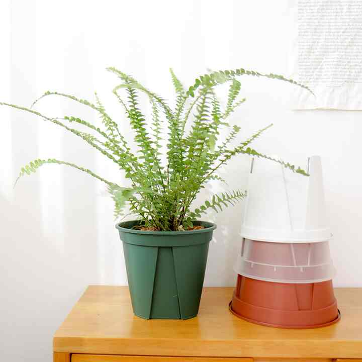 Kaneya Slit 鉢[4色]