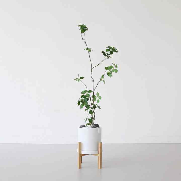 ドウダンツツジ 造花