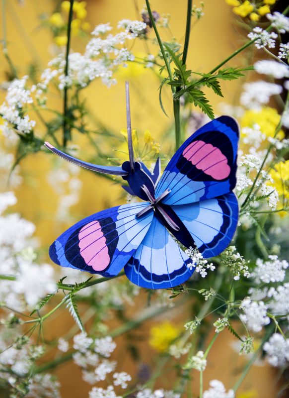 Peacock butterfly 특별한 인테리어 오브제