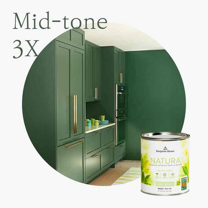 Benjamin Moore Natura® Interior Paint - Cat Interior