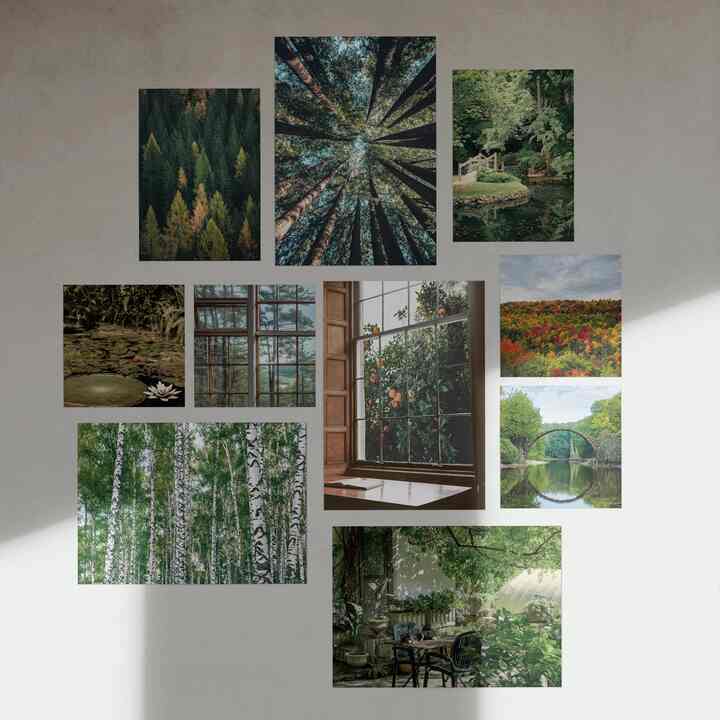 グリーン フォレスト ポストカード［68種］