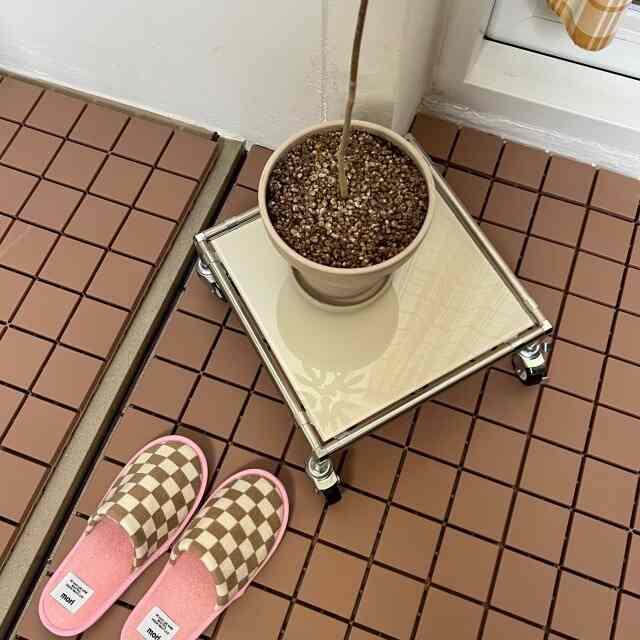 モジュール 1段 プラントスタンド