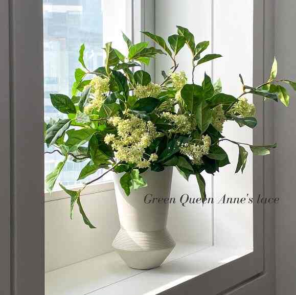 【Amaranthine Blooms】Green Queen Anne’s lace 造花