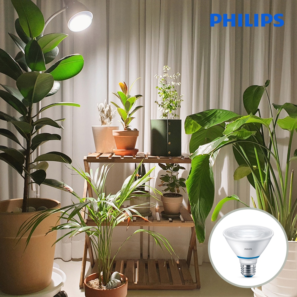 필립스 PHILIPS PAR30 스팟 LED 식물조명 식물등