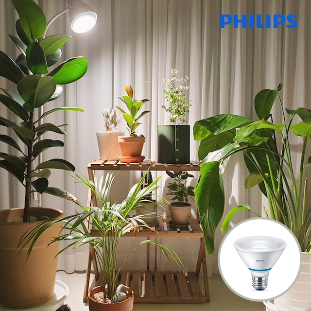 가드닝용품 > PHILIPS PAR30 스팟 LED 식물조명 식물등 | 오늘의집 쇼핑