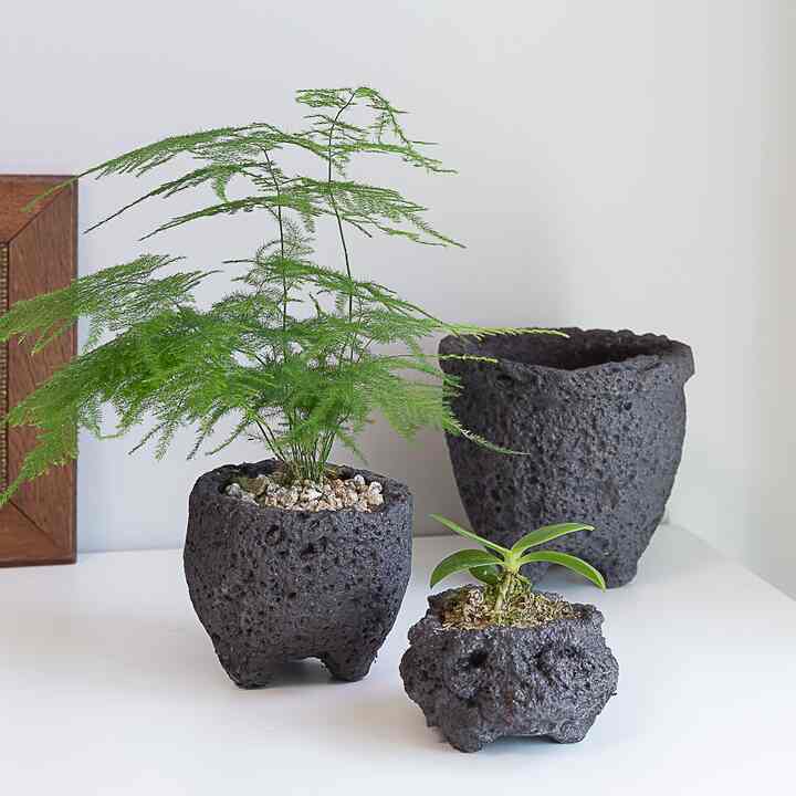 火山石 ストーンプランター［4サイズ］