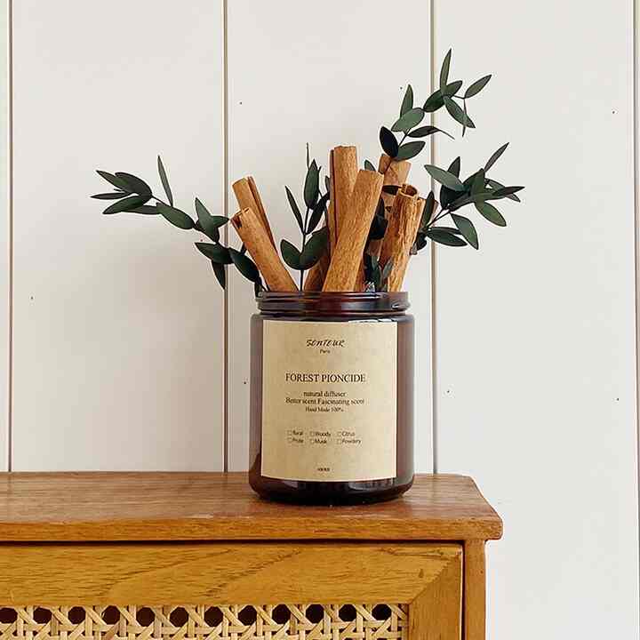 シナモンスティック・ユーカリ 虫退治セット