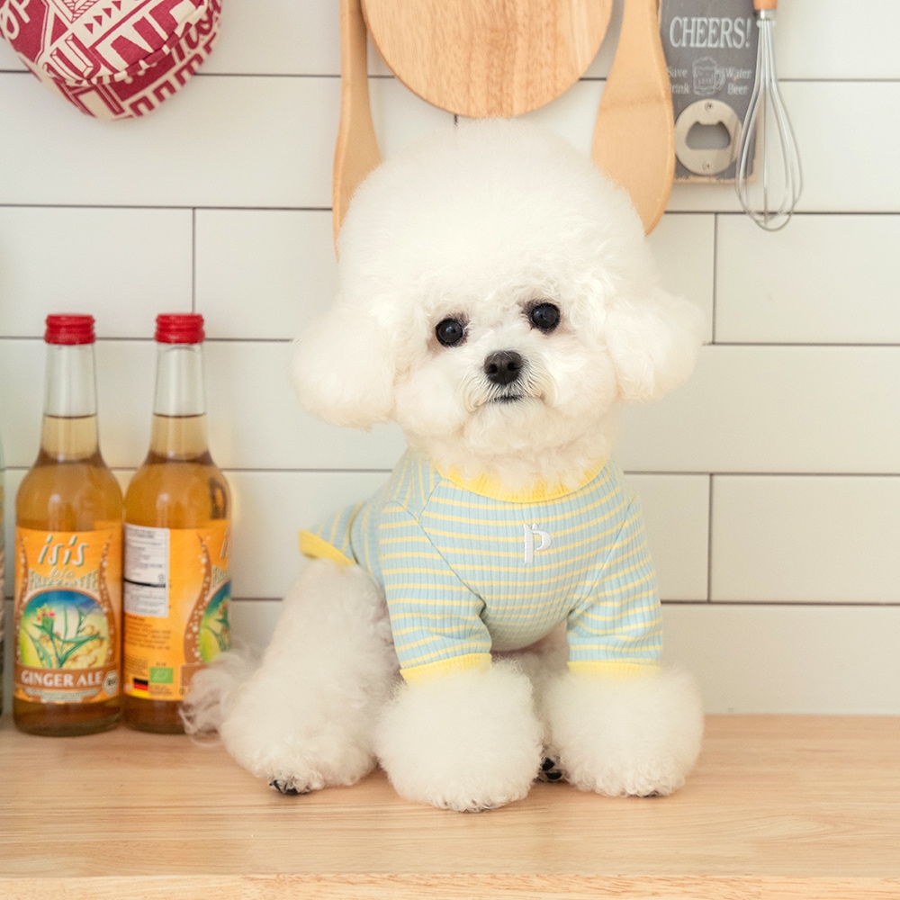 펫츠랜드 앨리스 티셔츠 강아지옷 강아지티셔츠