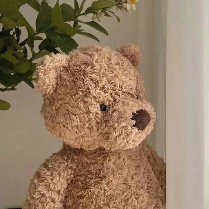 ブラウンベア ぬいぐるみ 35cm