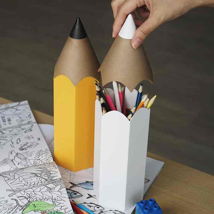 Dinsor organizer(2 colors)