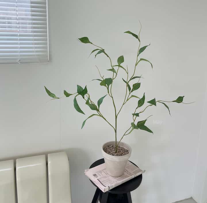 ロングリーフ フェイクツリー［2色・2サイズ］