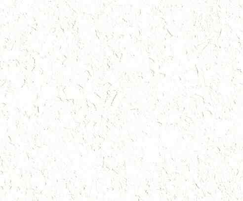 DIAMANT 塗壁 ホワイト PR002-10