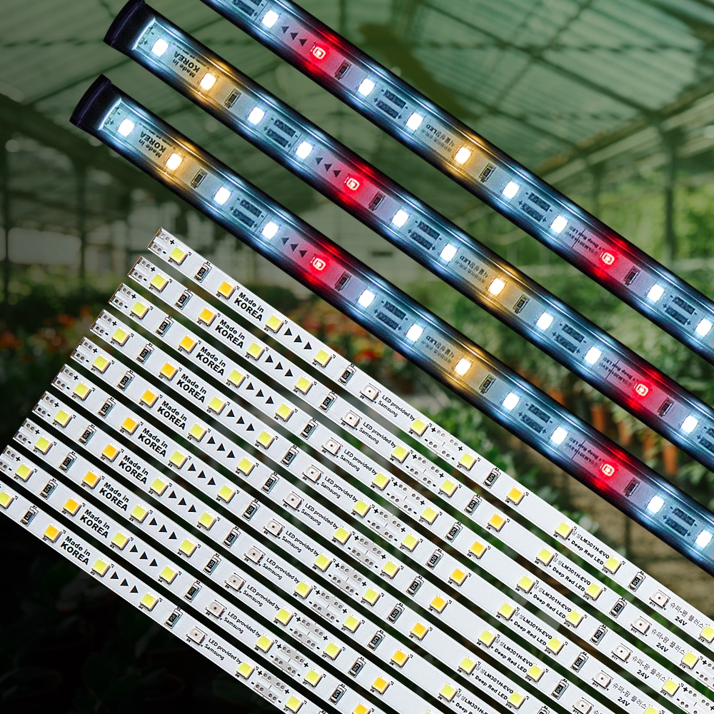 가드닝용품 > 24V 전문가용 삼성 LED 식물등 (PCB) 백색광 식물 조명 성장 재배 | 오늘의집 쇼핑