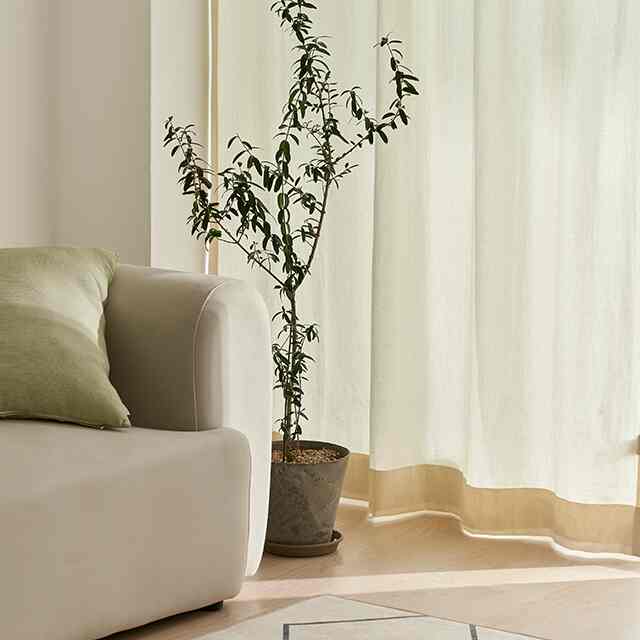 ナチュラルベーシックコットンカーテン