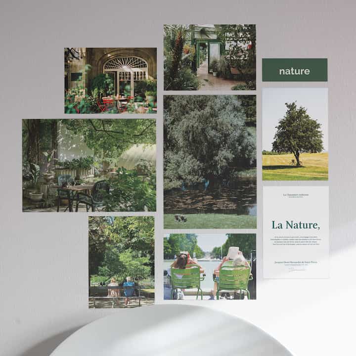 自然の森 ポストカードセット