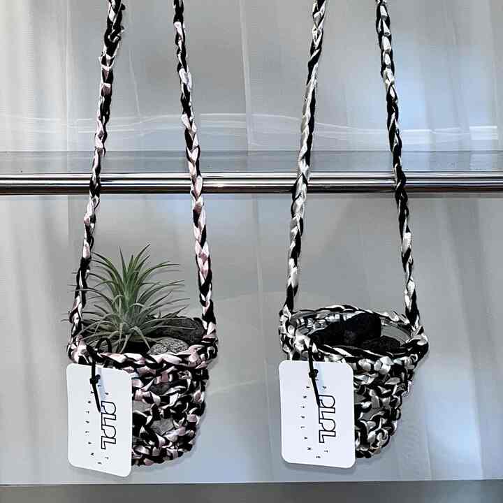 ティランジア・イオナンタ オブジェ ブラックシルクポット