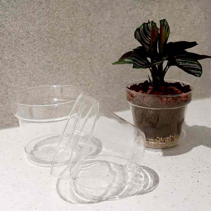 シンプル ガラス ポット