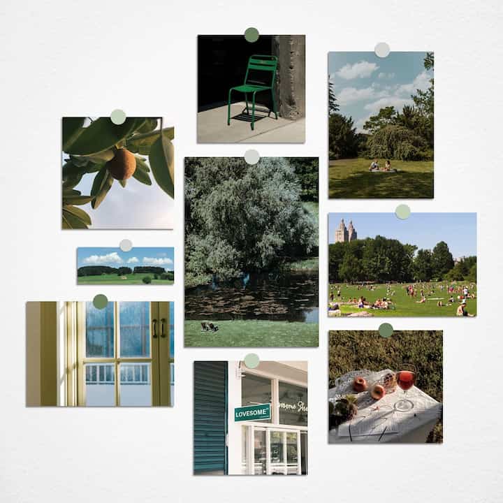 グリーンポストカード（ステッカー付き）16枚セット