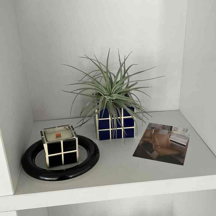 cube pot 空気浄化植物