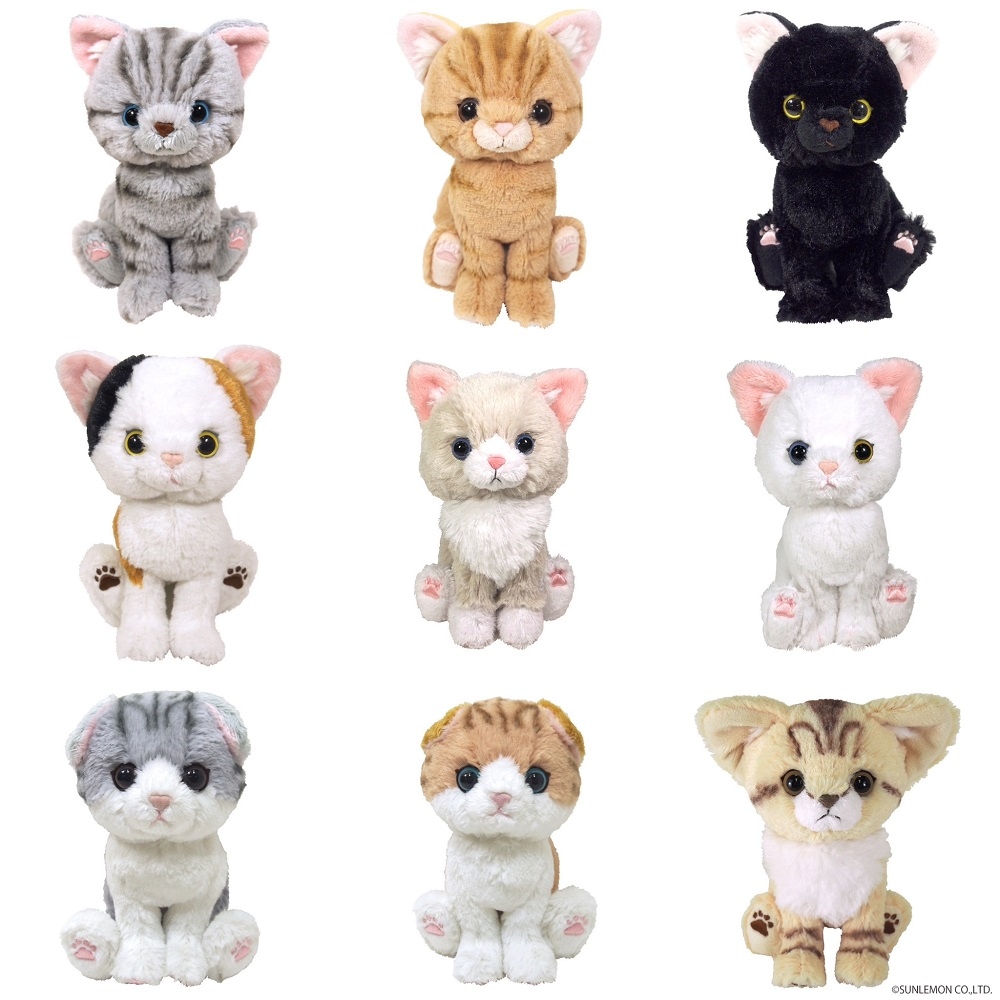 KITTEN 아기고양이 인형 시리즈 가격 비교 콤비니/선레몬코리아 KITTEN 아기고양이 인형 시리즈