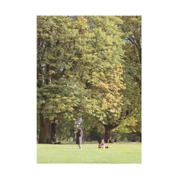 ベーシックポスター - London 04. Tree［3サイズ］