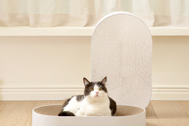https://image.ohousecdn.com/i/bucketplace-v2-development/uploads/productions/169821945310666934.jpg?w=720&h=480&c=c