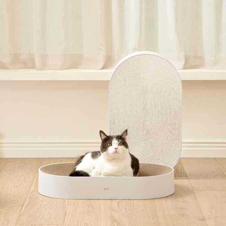 All Day Cat Scratcher 