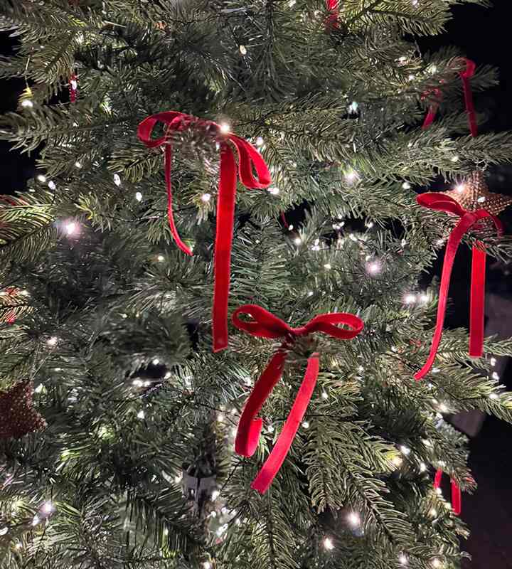 10 Yards Velvet Ribbon Spool 