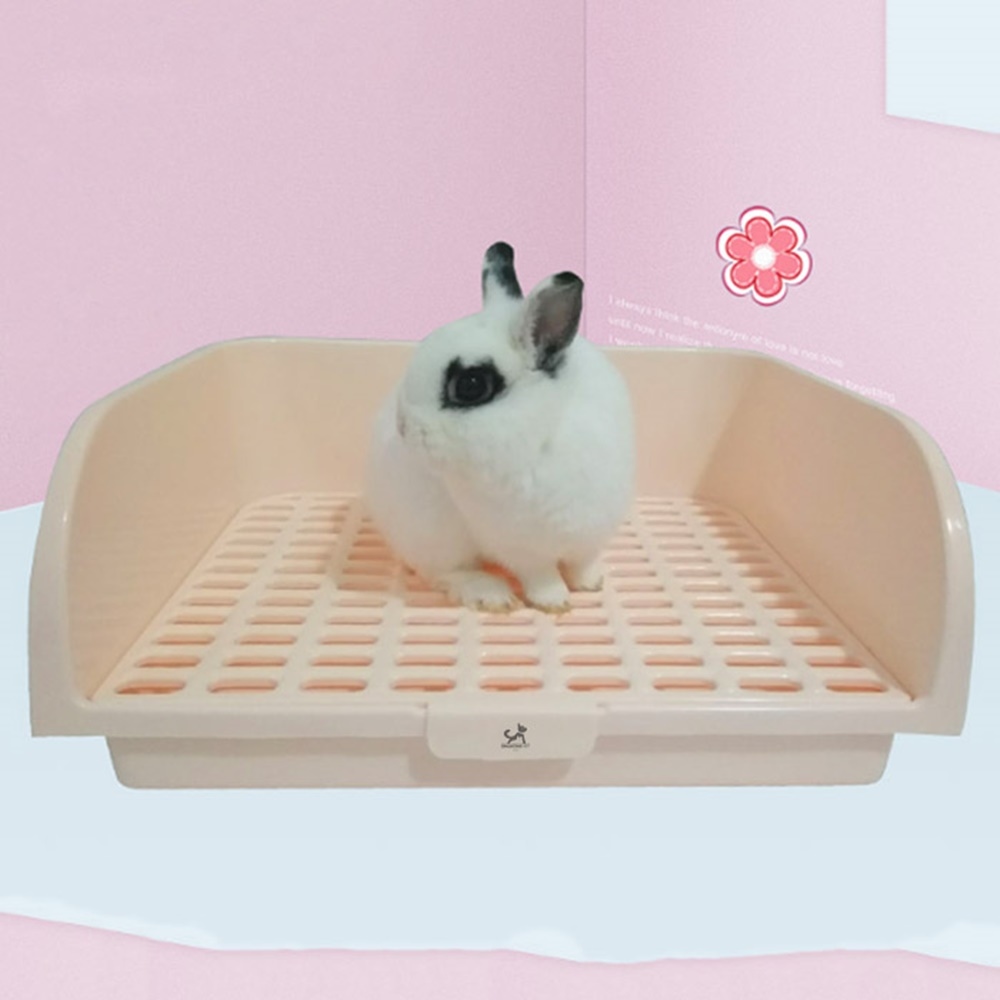 반려동물 심플 토끼 기니피그 화장실 가격 비교 딩동펫 반려동물 심플 토끼 기니피그 화장실