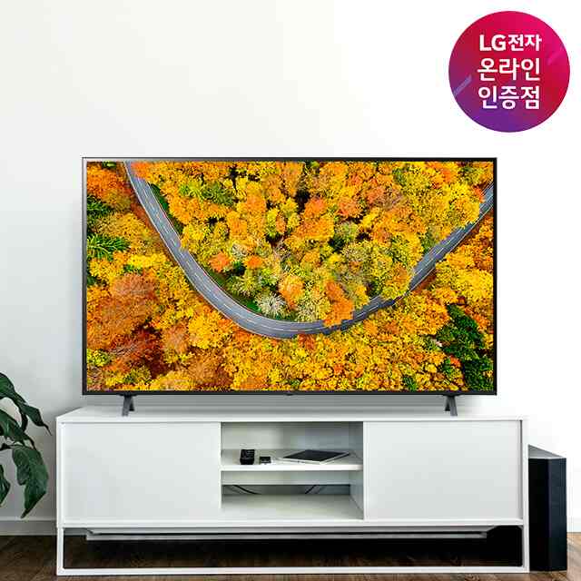 LG UHD TV 65UR642S0NC ウルトラHD 163cm 65インチ
