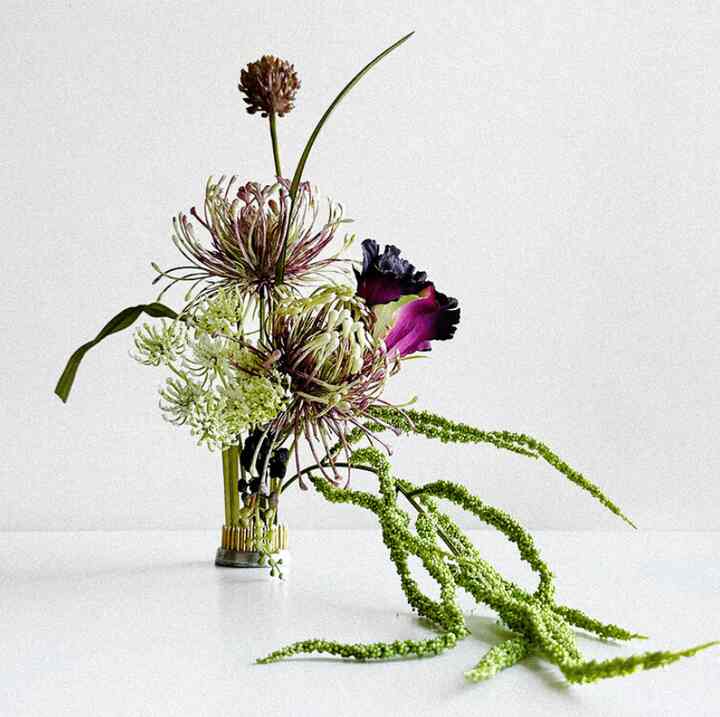 Ombrer Mauve bloom［5種］