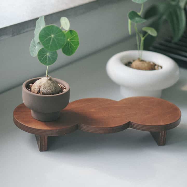 Wooden Peapod Plant Stand