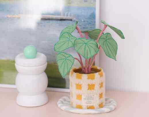 ファブリック植物 ペペロミア・サンデルシー