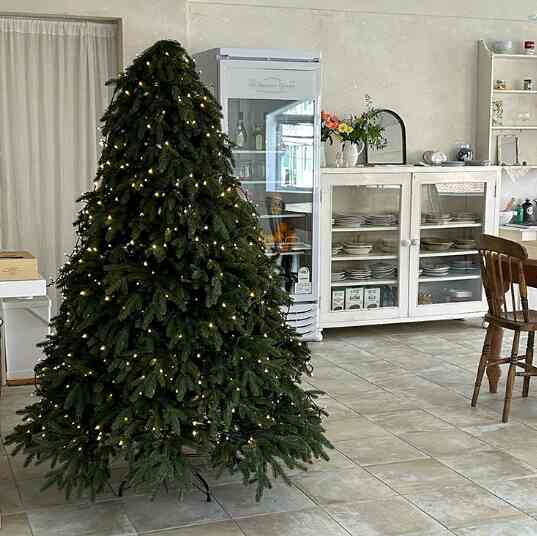 ツリー pe 100%［3サイズ］