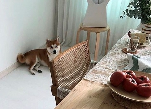 커버 이미지