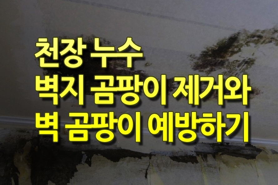 커버 이미지