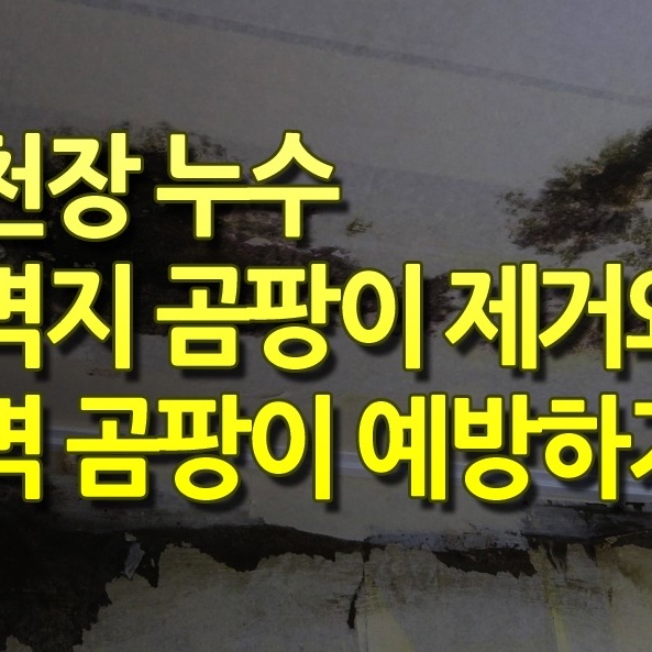 커버 이미지