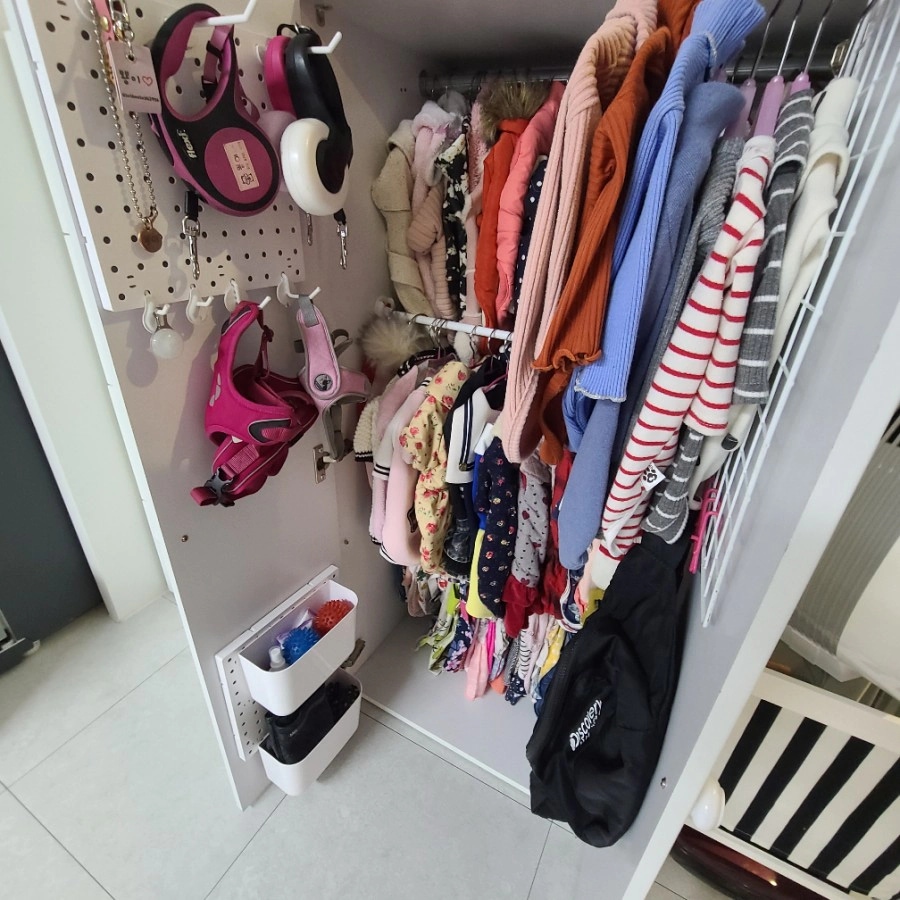 강아지 여행을 위해 가방에 용품을 준비하는 모습