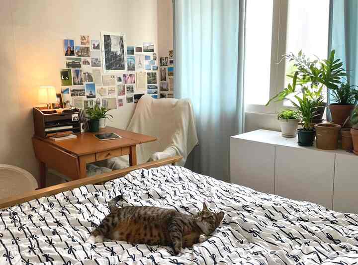 🇰🇷 築古の3Kマンションで妹、2匹の猫と暮らしています