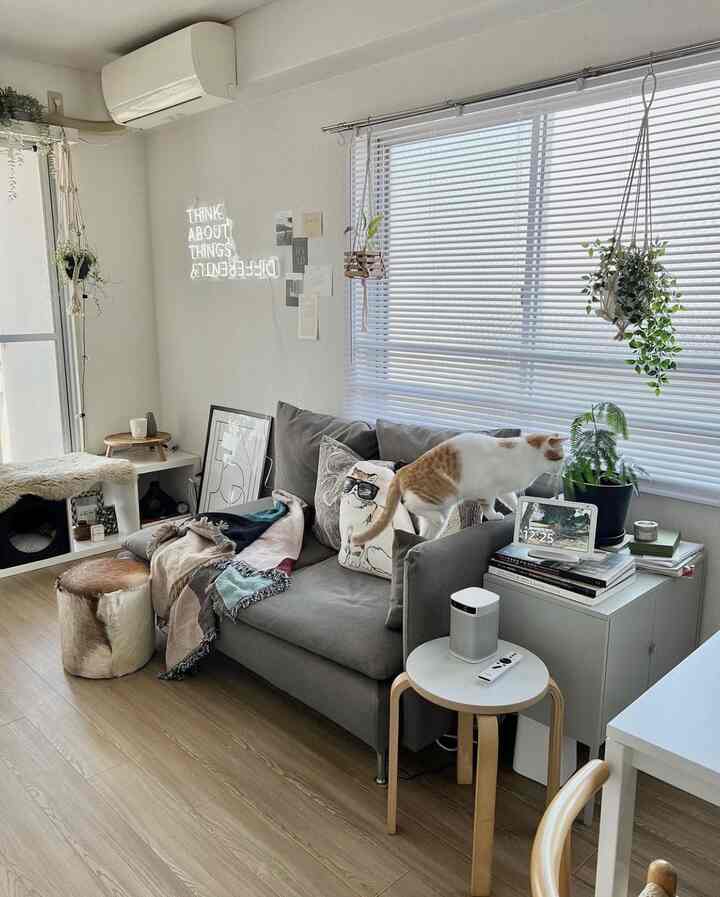 🇯🇵 猫と暮らすナチュラルモダンなおうち