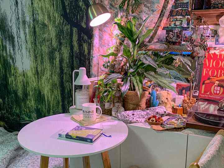 🇰🇷 窮屈なグレーの内装、🌿植物と🧶ファブリックでさわやかに